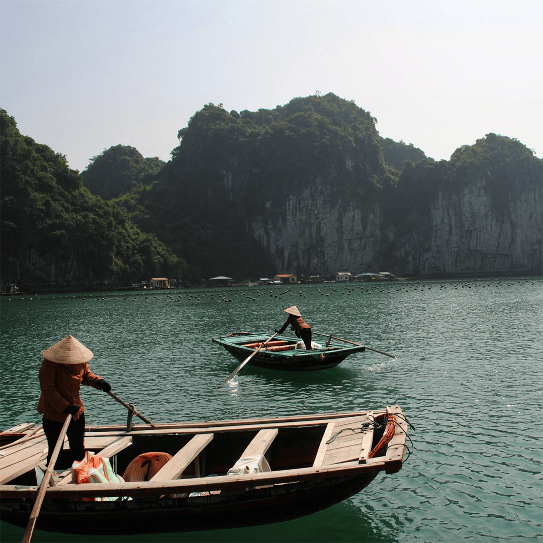 Two people wearing conical hats row wooden boats on a serene green lake, surrounded by lush limestone cliffs under a bright sky.