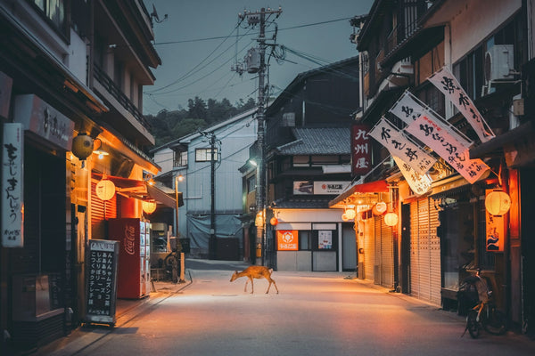 Exploring Japan's Rural Villages: A Journey Through History