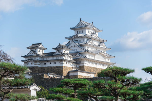 Famous Japanese Castles
