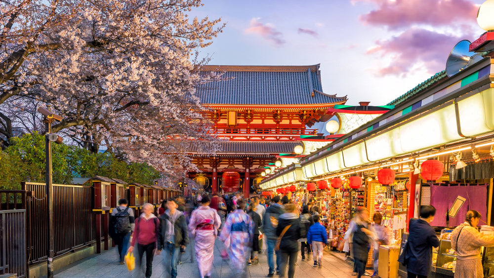 Japan Travel Tips: A Guide for Travels & SIM Card Solutions