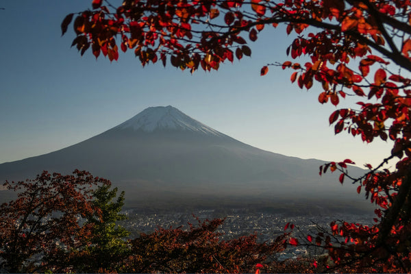 Most Beautiful Places in Japan: Top Spots to Visit