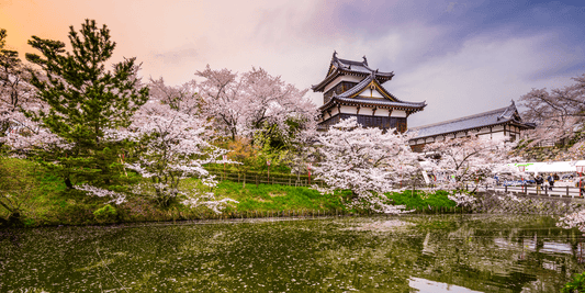 When is the Best Time of Year to Visit Japan