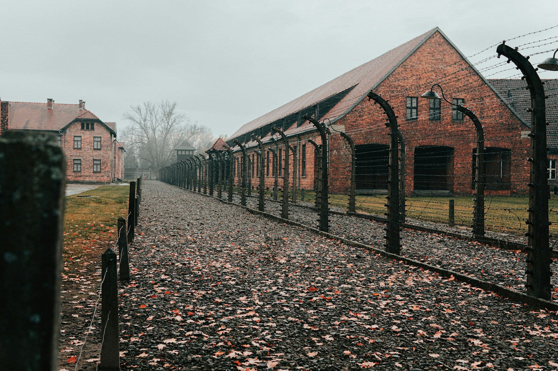 Auschwitz Tour Guide: Should You Book in Advance?
