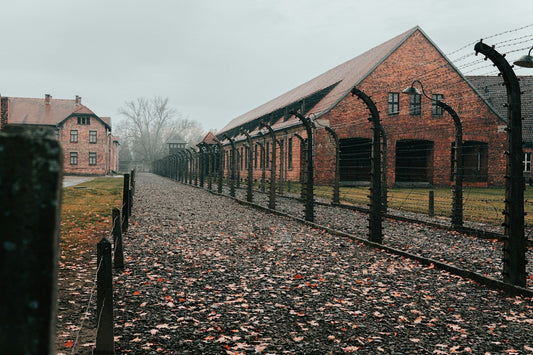 Auschwitz Tour Guide: Should You Book in Advance?