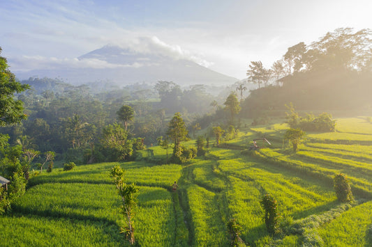 Bali Visa Guide: Requirements and Application