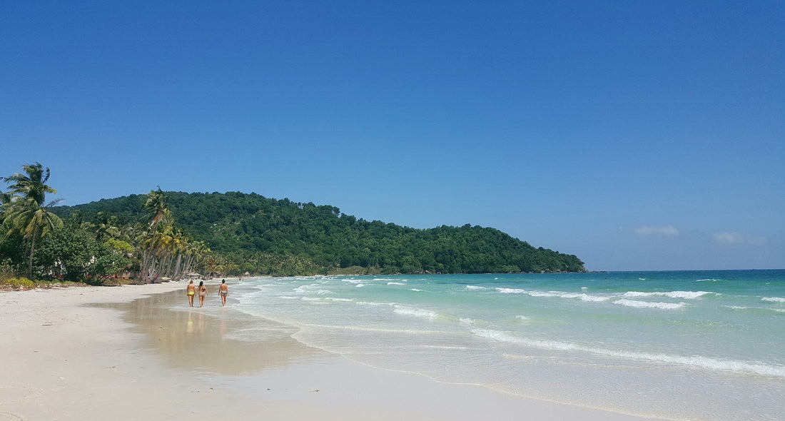 Discover the Best Beaches in Vietnam: Top Picks for Your Next Trip