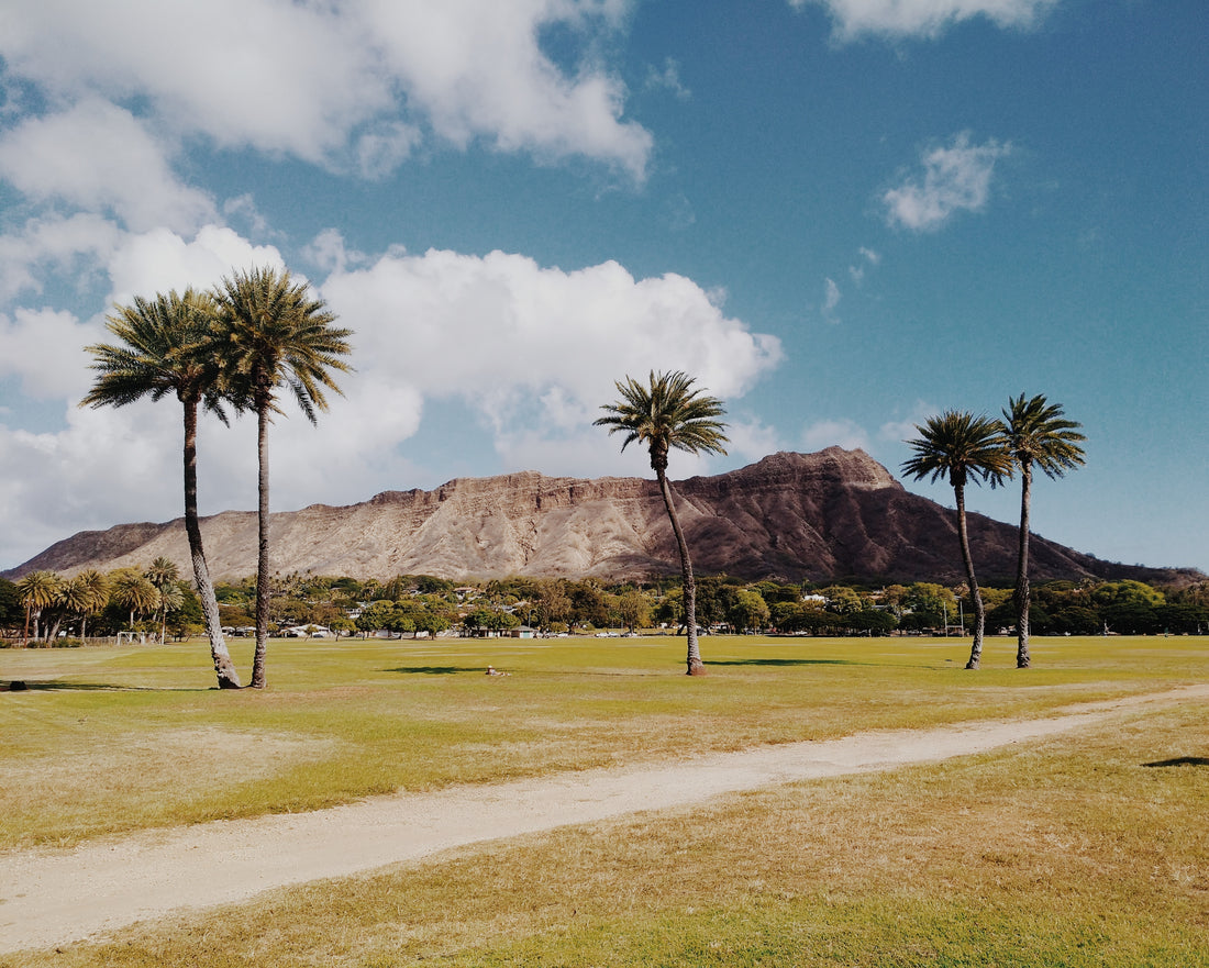 Unveiling the History: How Did the US Acquire Hawaii?