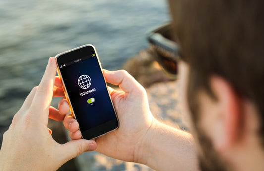 Data Roaming On or Off?