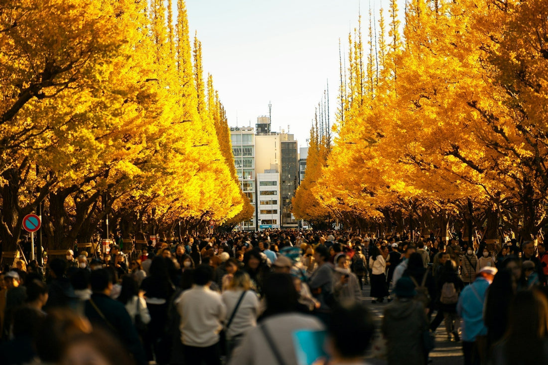 The Best Guide to Golden Week Japan: Dates, Tips, and Travel Insights