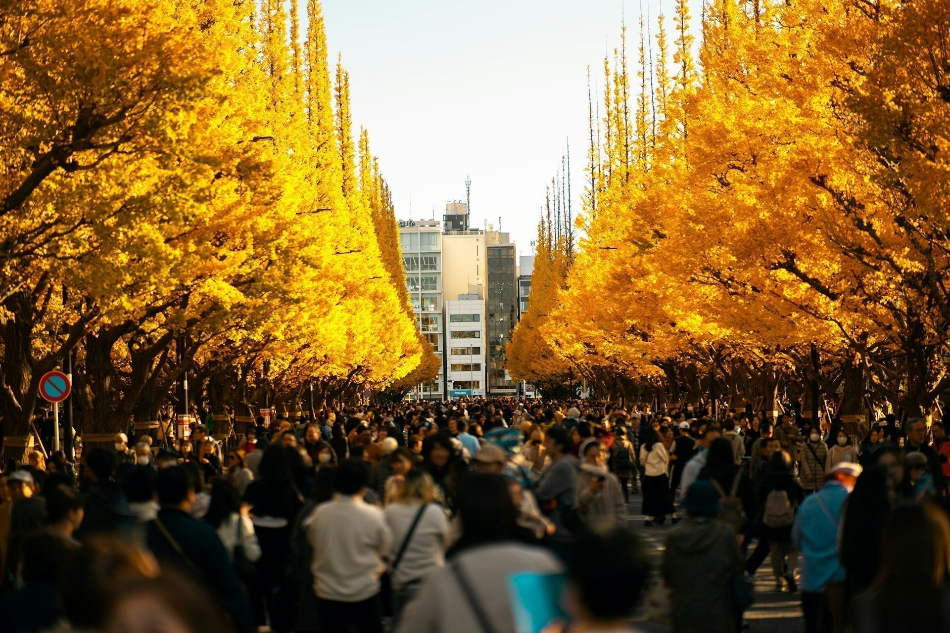 Golden Week Japan: Dates, Tips, and Travel Insights
