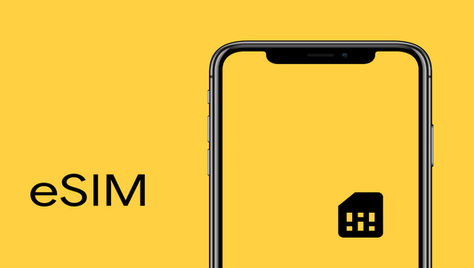 How to Remove eSIM