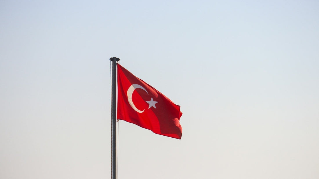 Is Turkey in the EU or NATO? Political Insight on Current Relations