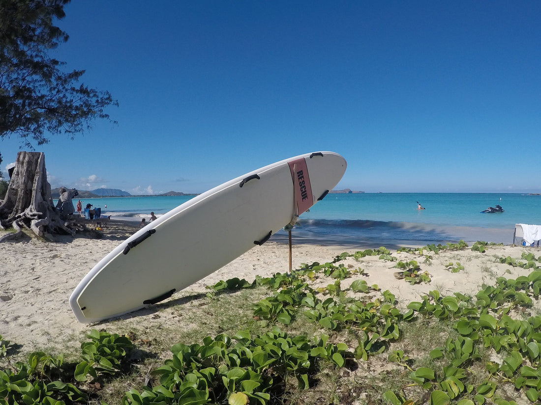Decoding the Enigma: Why is Hawaii So Expensive?