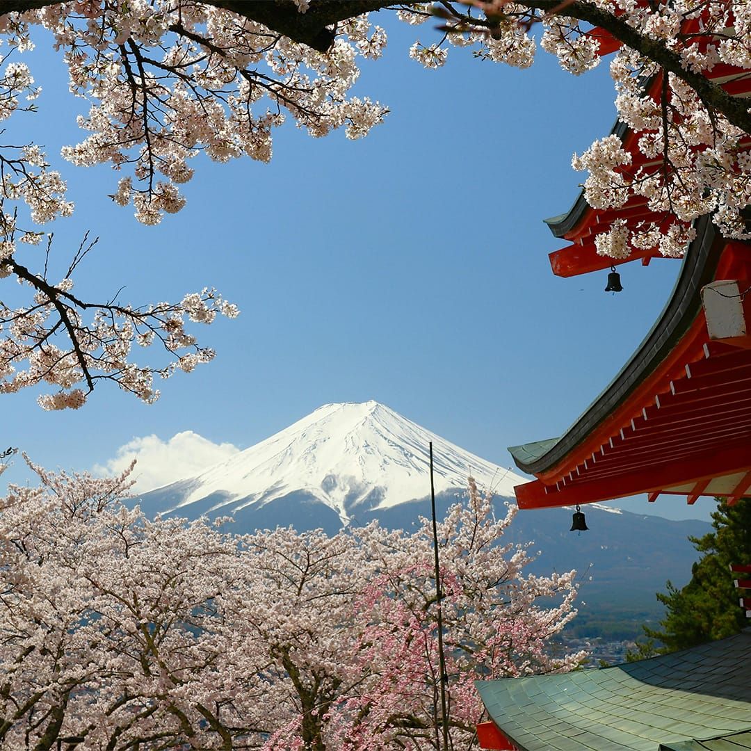 Japan eSIM