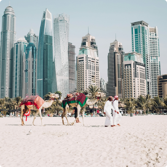 Middle East eSIM (16 Countries)