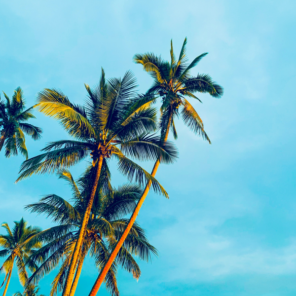 Fiji eSIM