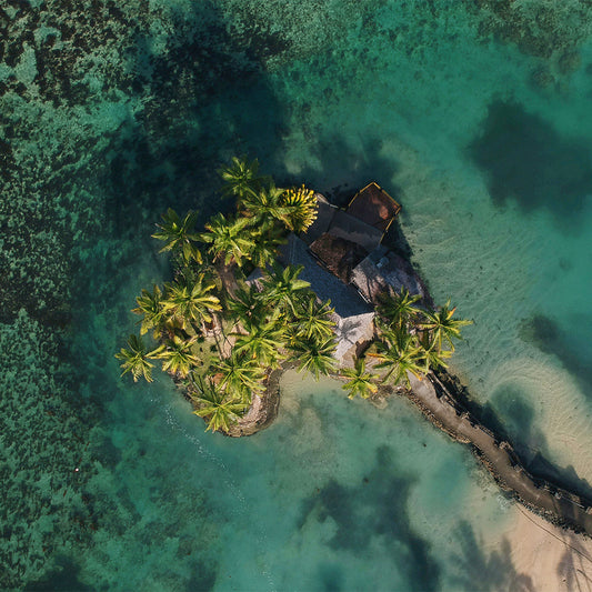 Aerial view of a tropical resort in Fiji featuring clear blue water and palm trees.