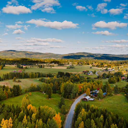 Aerial view of a serene countryside landscape with vibrant autumn foliage, scattered houses, winding roads, and distant hills under a partly cloudy sky.