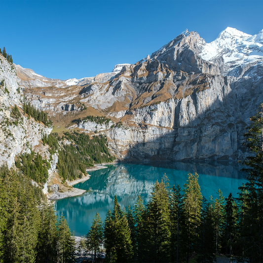 A stunning alpine landscape with a turquoise lake reflecting rugged snow-capped mountains. Foreground features lush green fir trees under clear blue skies.