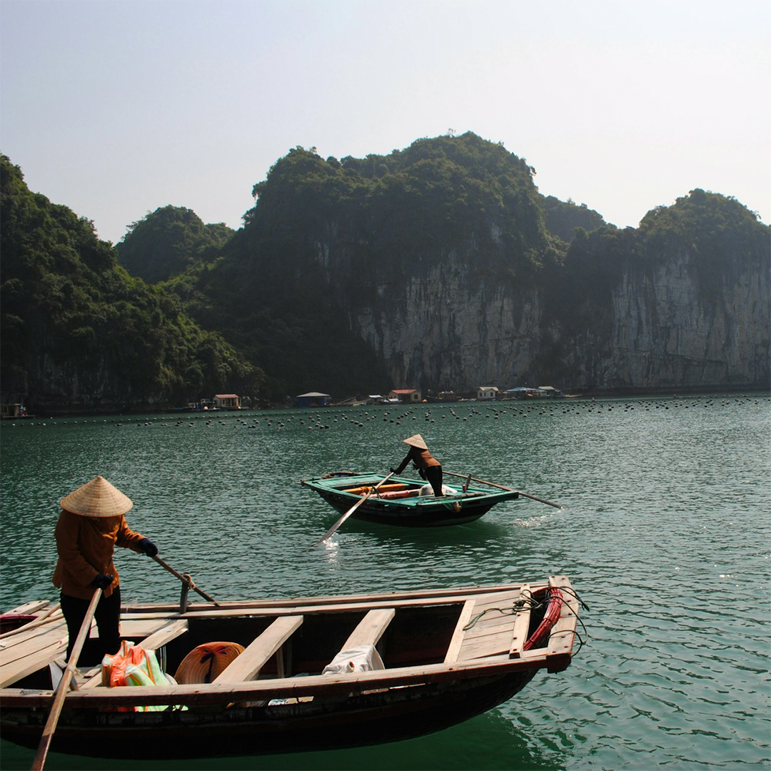 Two people wearing conical hats row wooden boats on a serene green lake, surrounded by lush limestone cliffs under a bright sky.