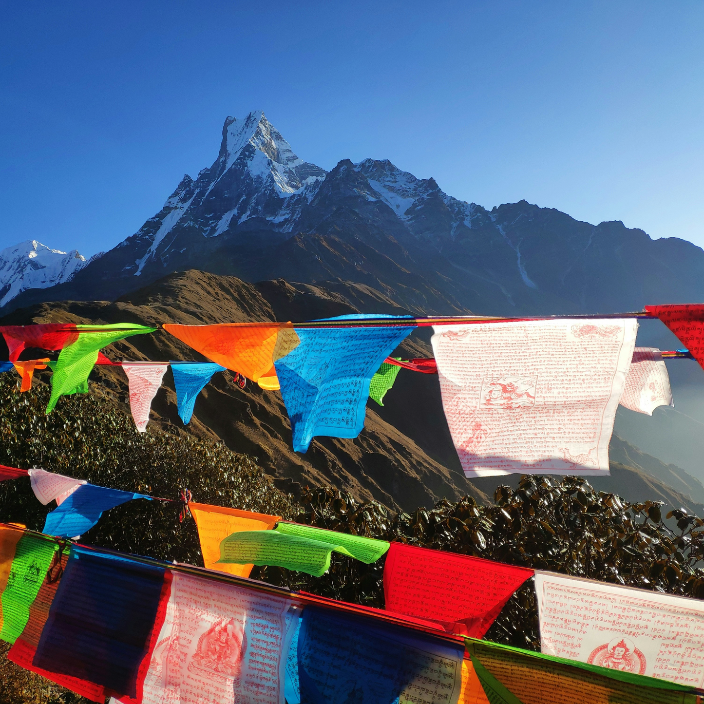 Colourful Tibetan Buddhist prayer flags flutter in the foreground against a clear blue sky, with the jagged snow-dusted peak of Machapuchare (Fishtail Mountain) rising sharply in the background.