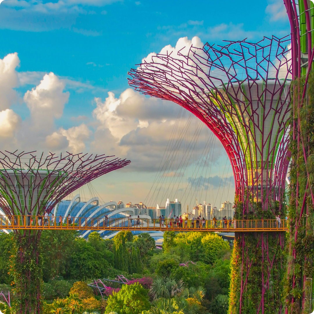 Unlimited Singapore eSIM