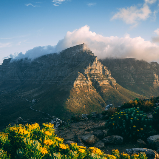 Photo of Table Mountain in Cape Town surrounded by blue sky, clouds and greenery