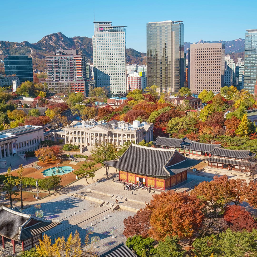 Aerial view of a traditional Korean building amidst modern skyscrapers with autumn foliage.