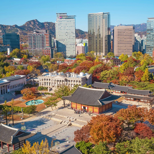 Aerial view of a traditional Korean building amidst modern skyscrapers with autumn foliage.